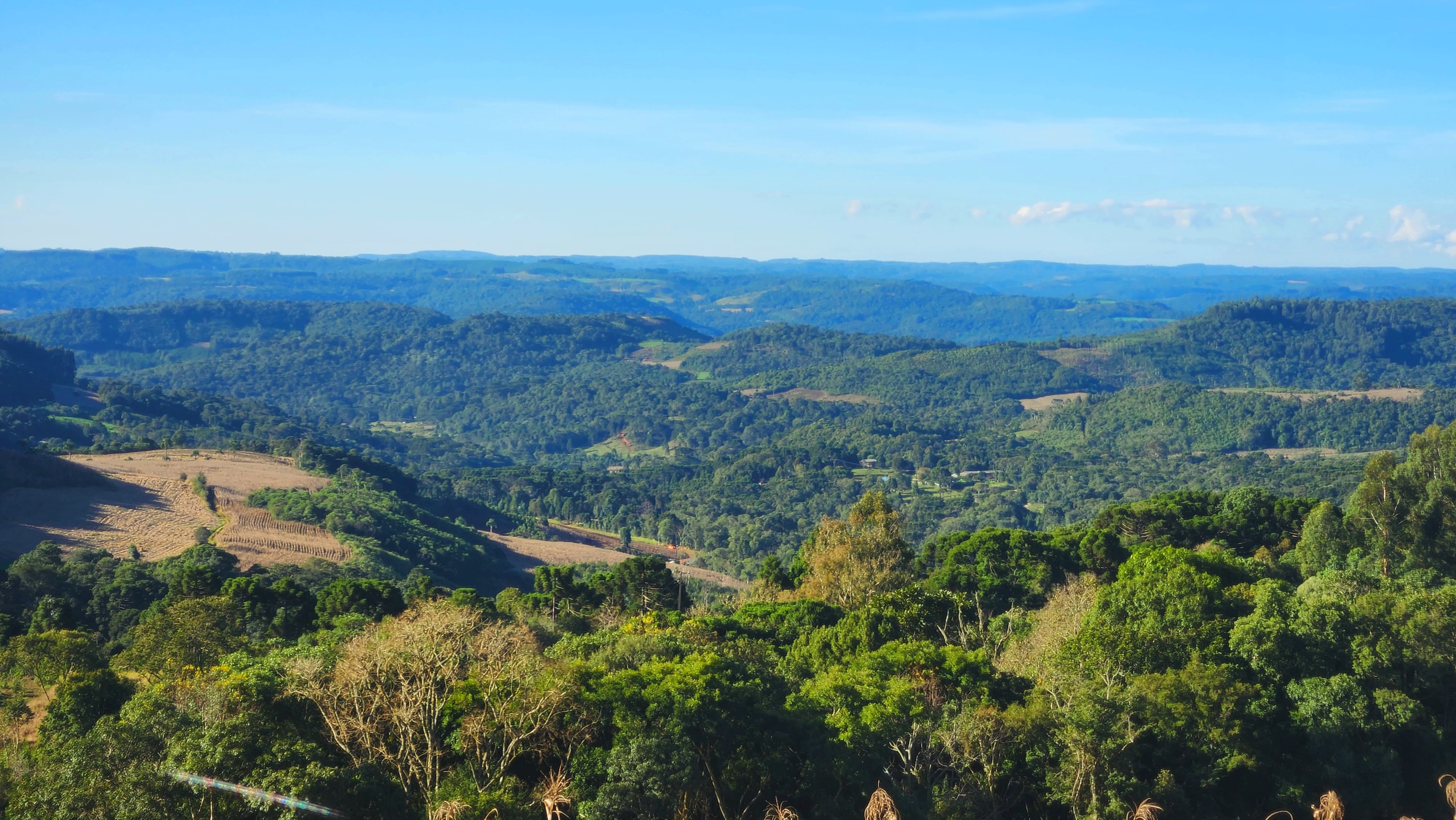 Paisagem de Cruz Machado